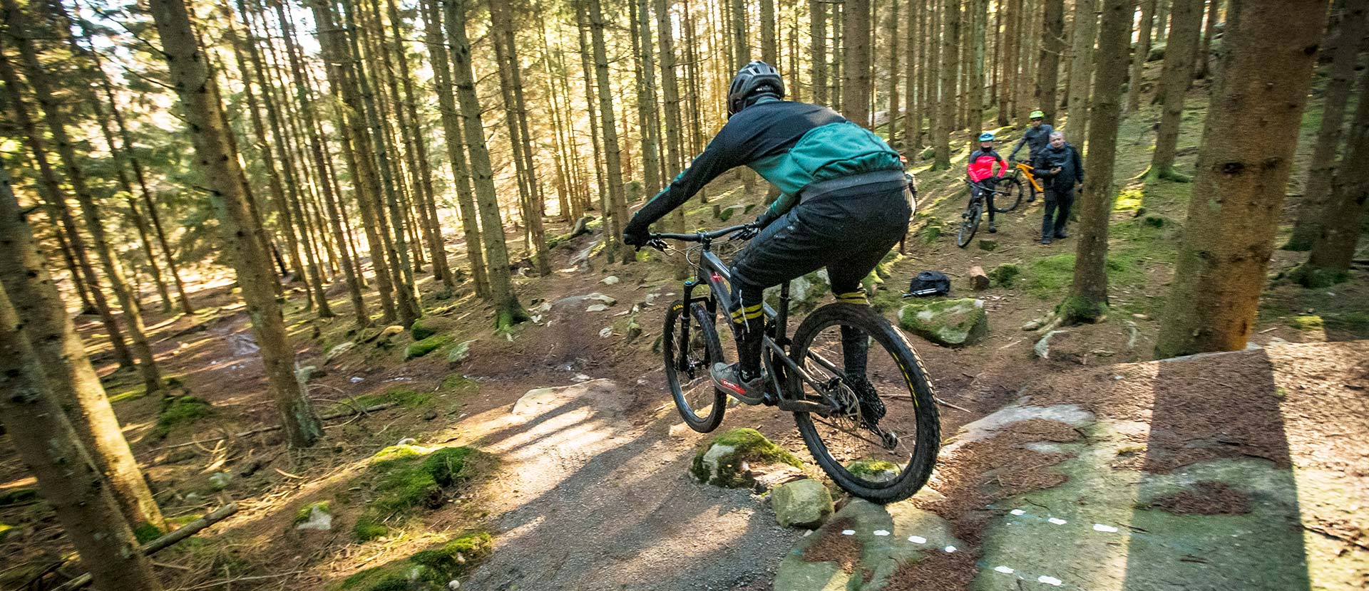 Ein Mann von hinten auf einem Mountainbike, der auf einer Mountainbike-Spur im Wald von Almindingen auf Bornholm fährt