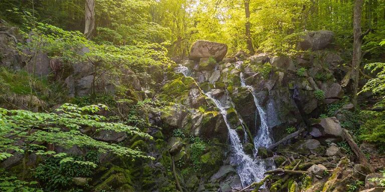 Døndalen Destination Bornholm