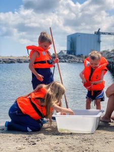 Børn undersøger havnens smådyr