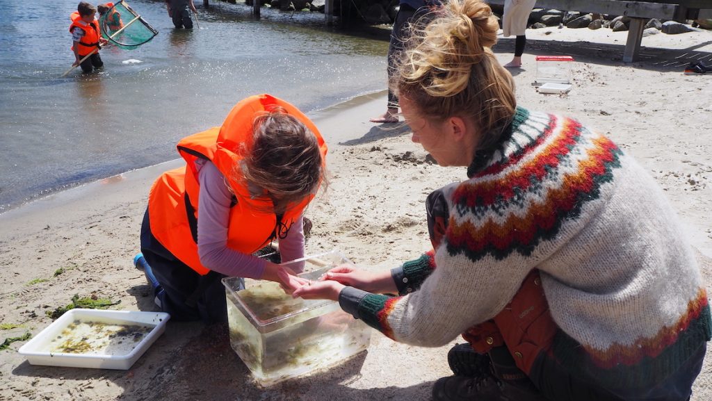 vi undersøger sammen det liv der befinder sig under overfladen