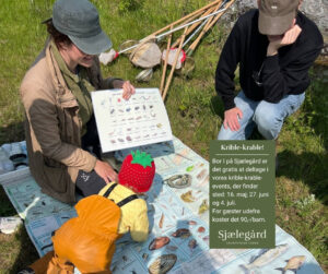 Børn lærer om insekter