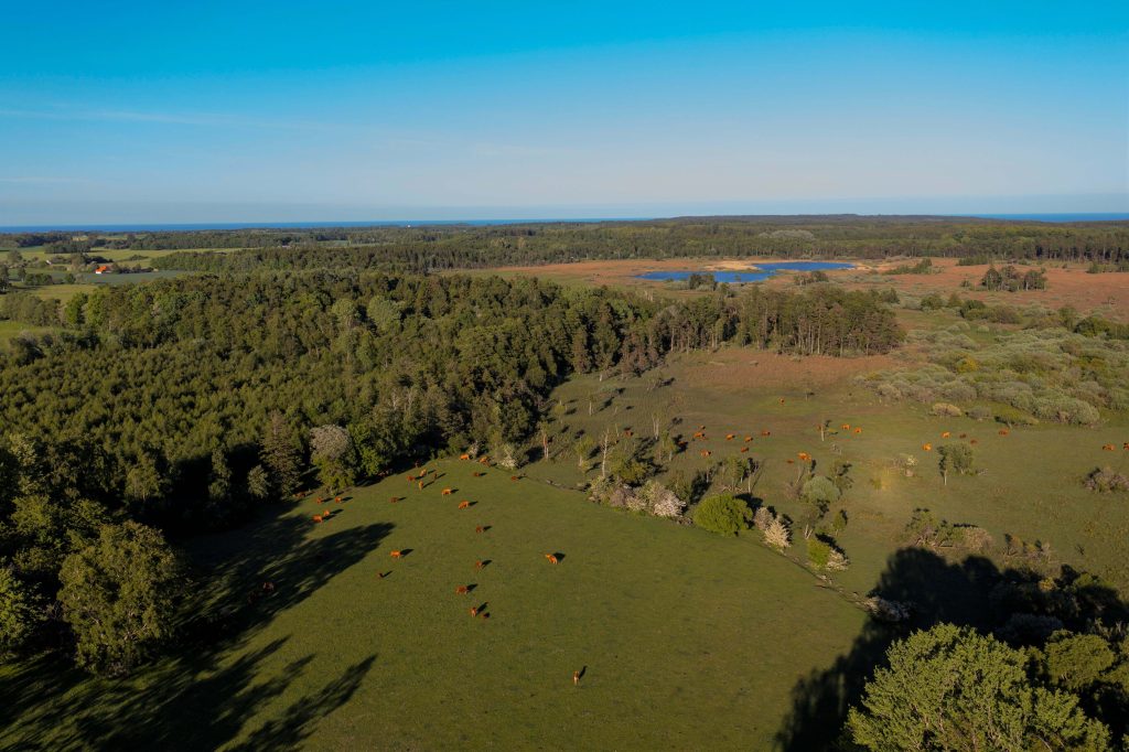 Glamping Bornholm